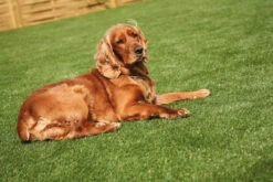 Front Page -EcoScape Shop t.tlx 3P34Qpe.8344BVGFS3.3IdU3X. 29199.1687590818