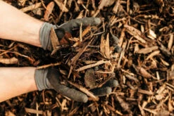 Rolawn Landscaping Bark 500 Litre Bulk Bag