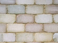 Front Page -EcoScape Shop t.tlx EHE0sjv.ZE07UgZY1E.EVXaEC. 04312.1687574583