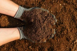 Front Page -EcoScape Shop t.tlx GVGgvX4.BGgDcfY7IG.GpP6GH. 77103.1700532161