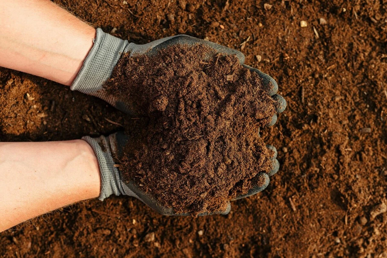 Rolawn Beds & Borders Topsoil 500 Litres Bulk Bag 2 Rolawn Beds & Borders Topsoil 500 Litres Bulk Bag - Image 2