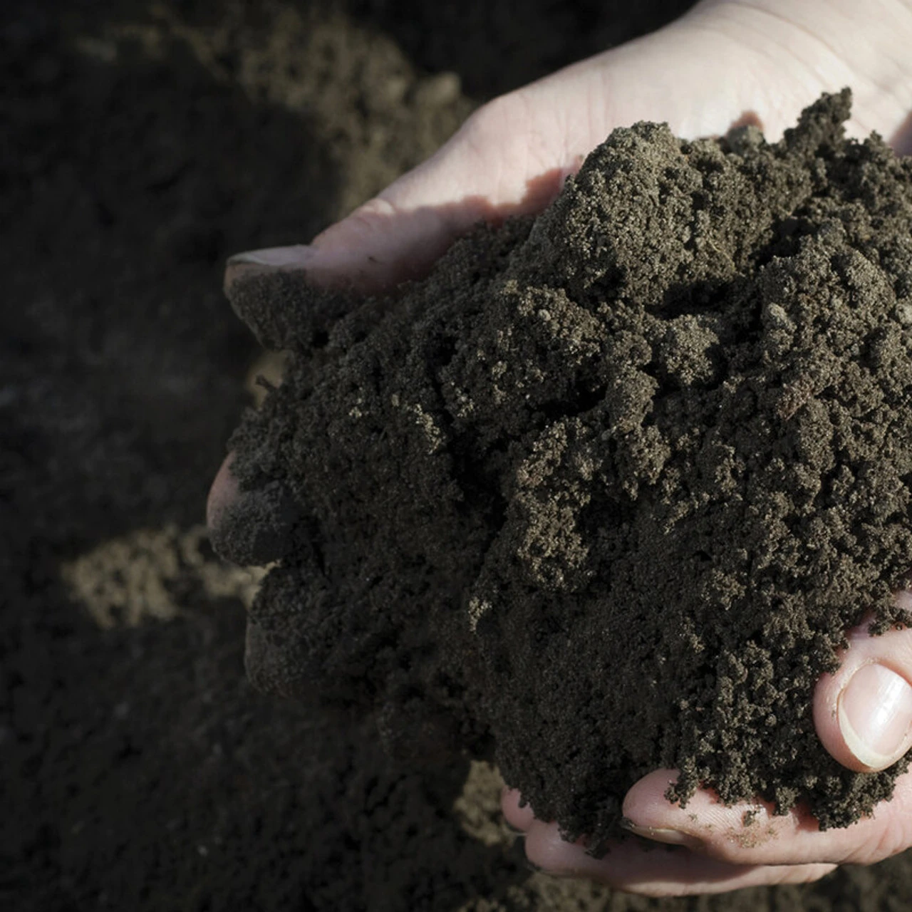 Rolawn Turf & Lawn Seeding Topsoil 0.73m3 Bulk Bag 2 Rolawn Turf & Lawn Seeding Topsoil 0.73m3 Bulk Bag - Image 2