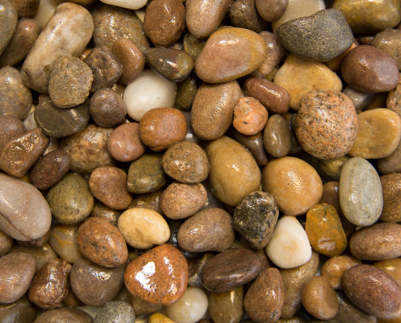 Scottish Pebbles 20-30mm Bulk Bag