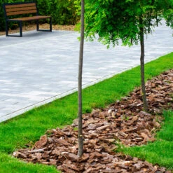 SupaGrow Landscaping Bark Chippings 606 Litres Bulk Bag 11 SupaGrow Landscaping Bark Chippings 606 Litres Bulk Bag -EcoScape Shop t.tlx kfkLMC0.1kLIfvnW4k.kjHFkY.kLw MkBFI 32212.1701482613