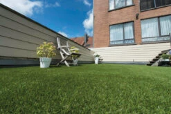 Namgrass Artificial Grass Eden 26mm Pile Height (Cut To Size) -EcoScape Shop t.tlx ndne5I .onedy3bEBn.nWAznp. 90494.1699922350