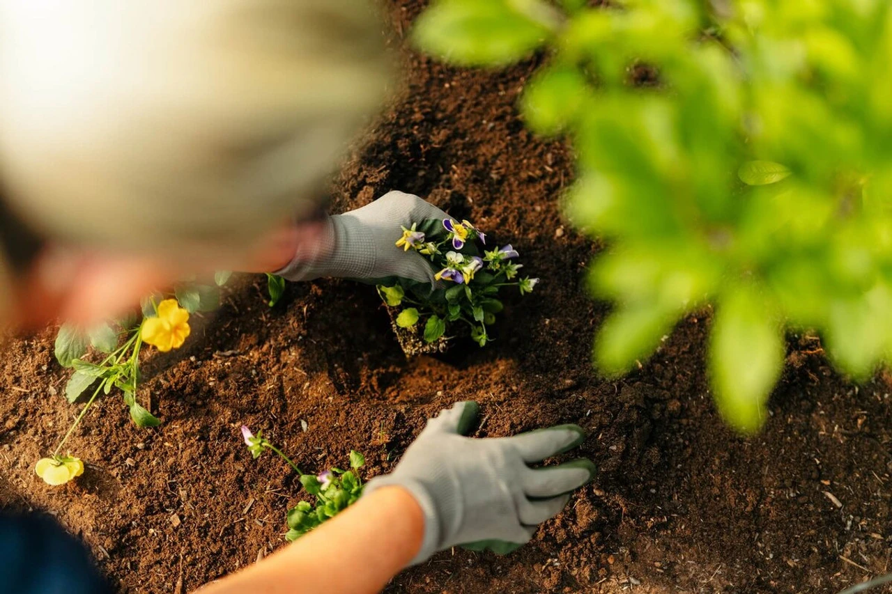 Rolawn Beds & Borders Topsoil 500 Litres Bulk Bag 3 Rolawn Beds & Borders Topsoil 500 Litres Bulk Bag - Image 3