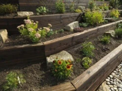 Brown Charred Brushwood UC3u Treated Garden Sleeper 125 X 250 X 2400mm 13 Brown Charred Brushwood UC3u Treated Garden Sleeper 125 X 250 X 2400mm -EcoScape Shop t.tlx xbxTYZf.ixTbHltc5x.xCKDx1 . 88087.1699922231